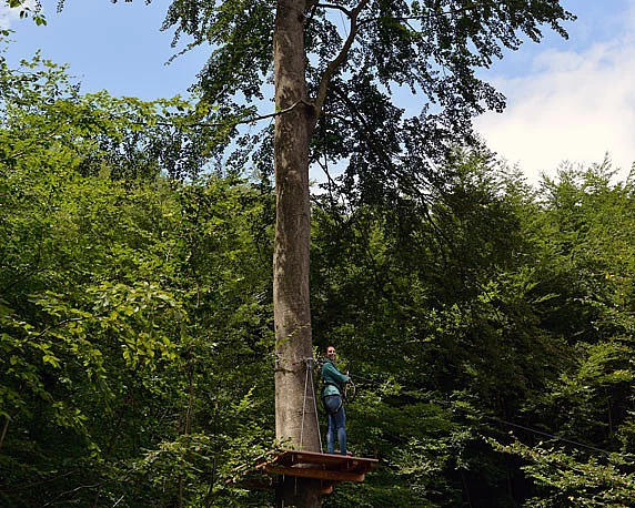 Ziplinepark, Elmstein, Pfalz, Betriebsausflug 2016