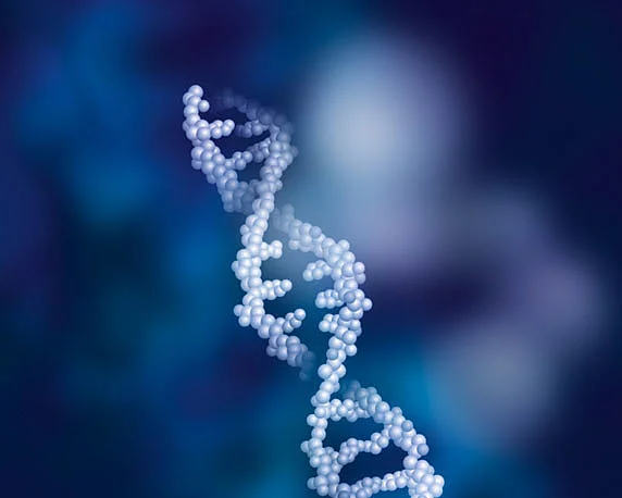 Biopharm, Protein, Werbeagentur magenta, Mannheim