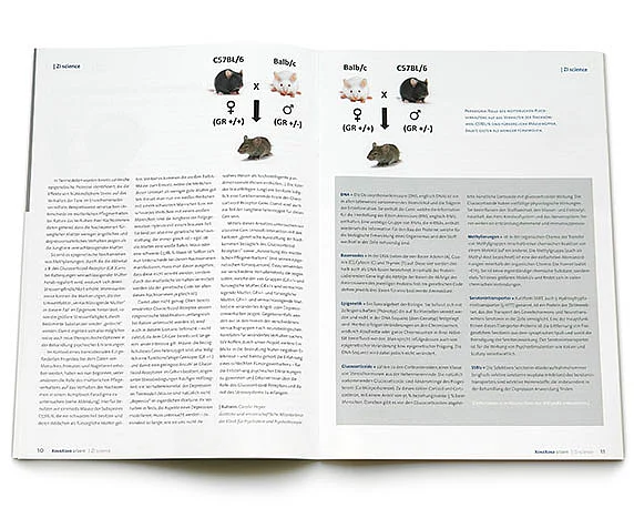 Zentralinstitut für Seelische Gesundheit, Magazin