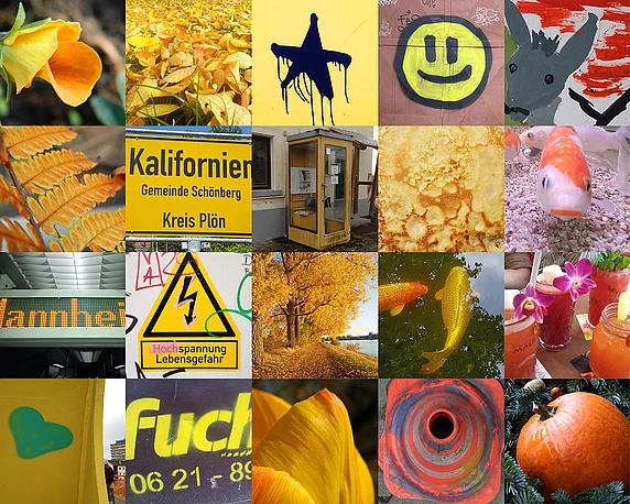 Motivzusammenstellung in Gelb- un d Orangetönen