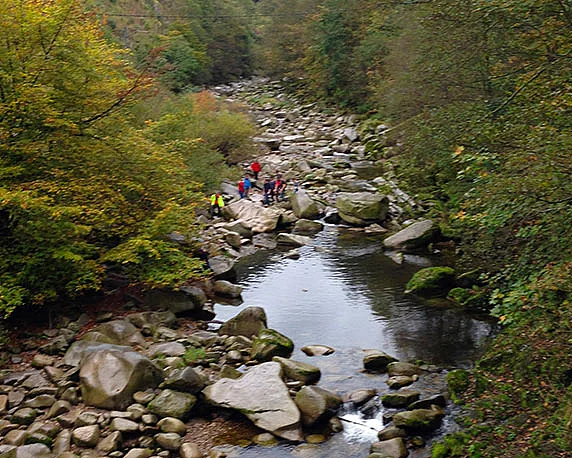 Betriebsausflug, Murgtal, magenta 