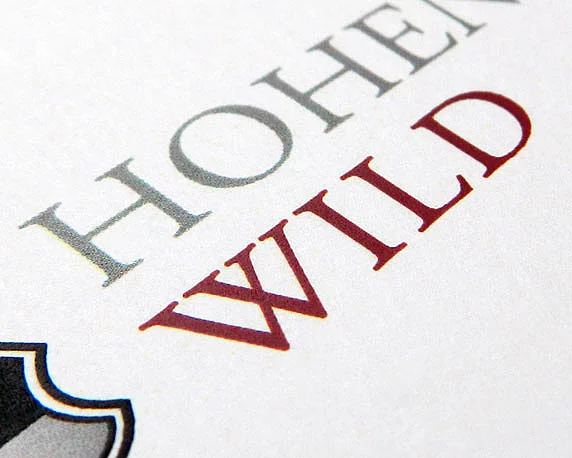 Unternehmensgruppe Hohenzollern, Corporate Design