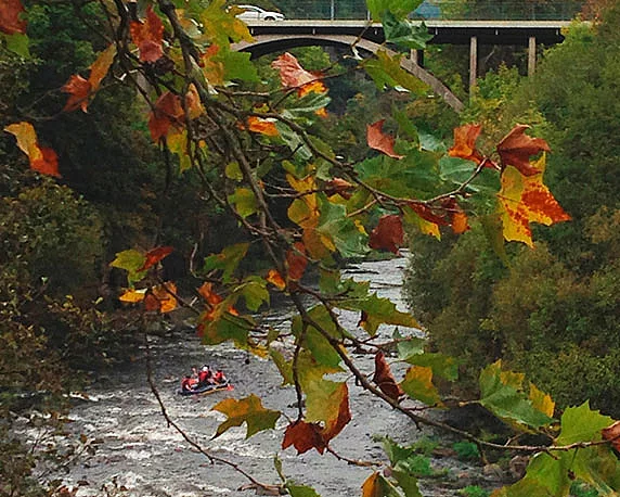 Betriebsausflug, Murgtal, magenta 