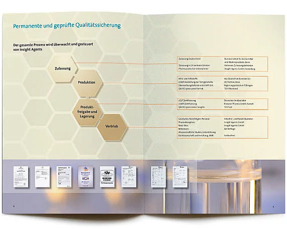 Insight Agents GmbH, Broschüre
