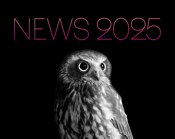 Neuigkeiten im Jahr 2025