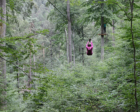 Ziplinepark, Elmstein, Pfalz, Betriebsausflug 2016